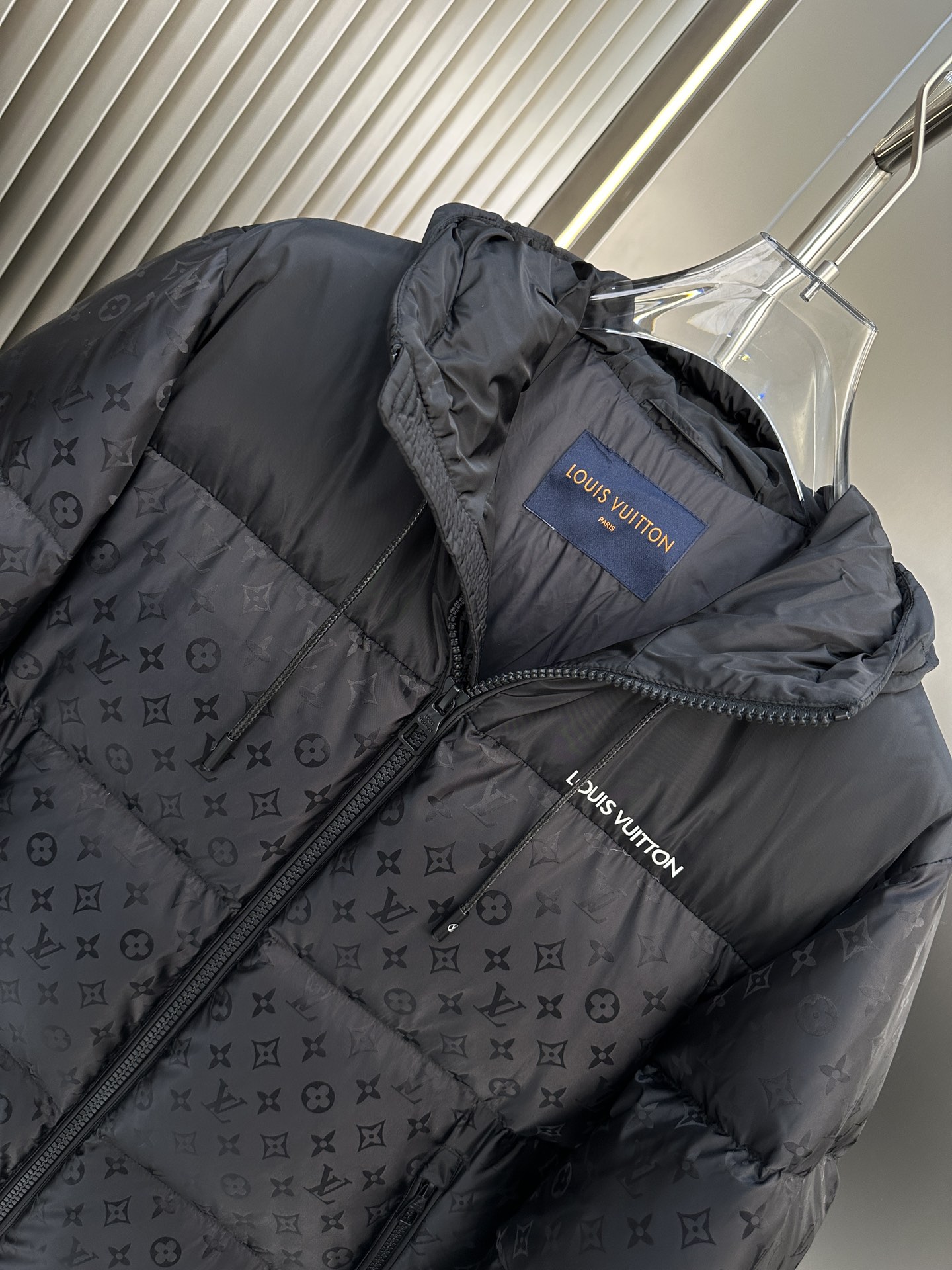 Louis Vuitton Down Jackets